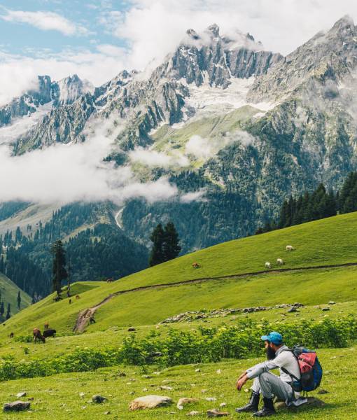 Kashmir